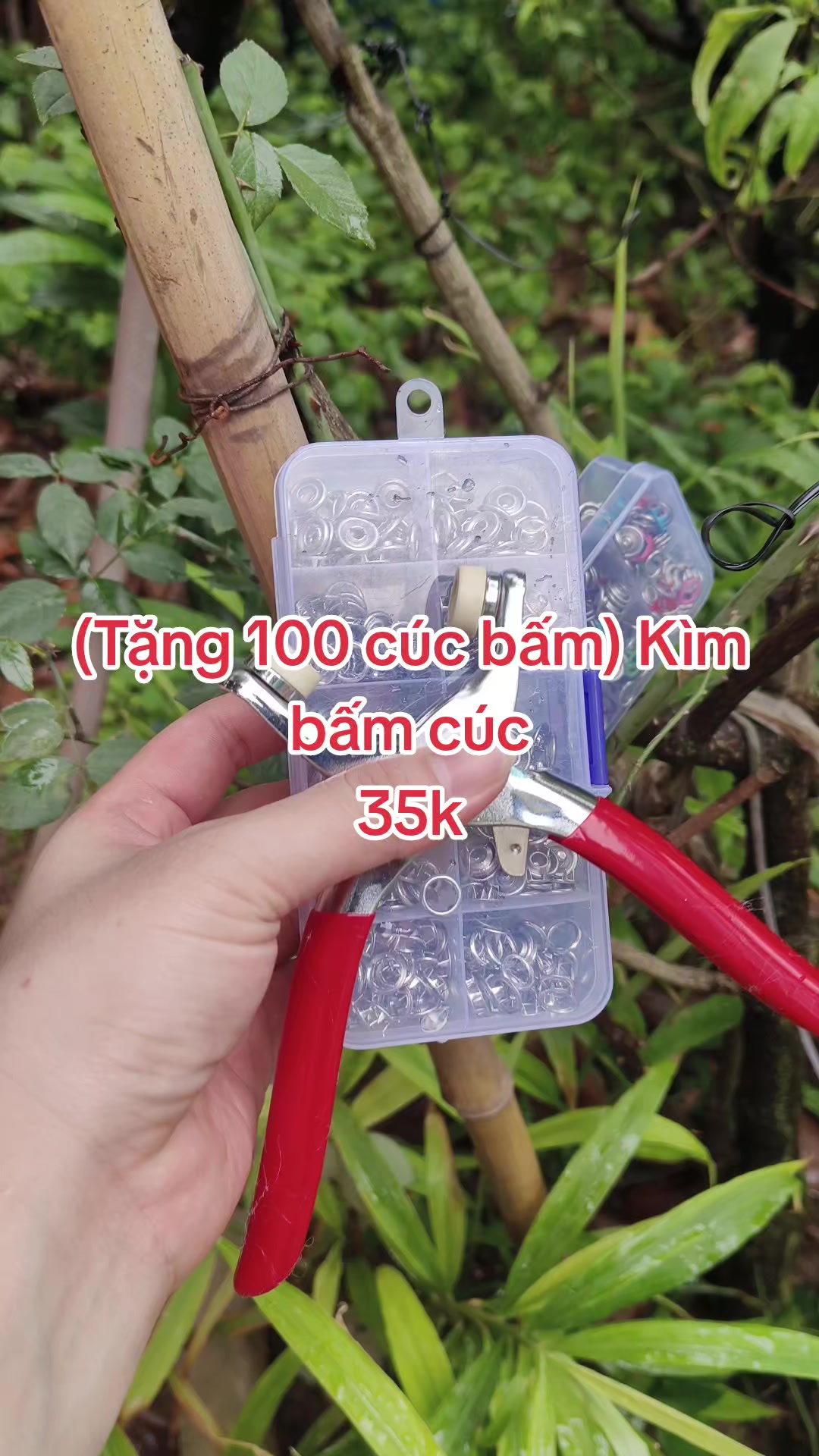 @thegiocuaban