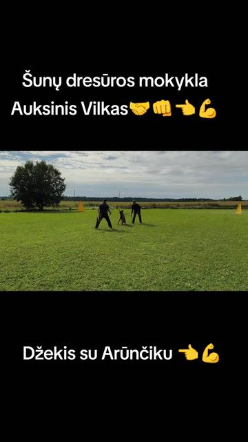 @Vidmantas Selvenis
