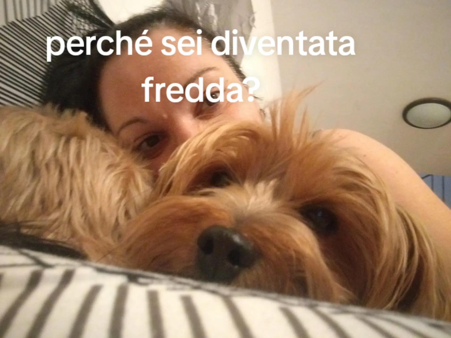 @giada