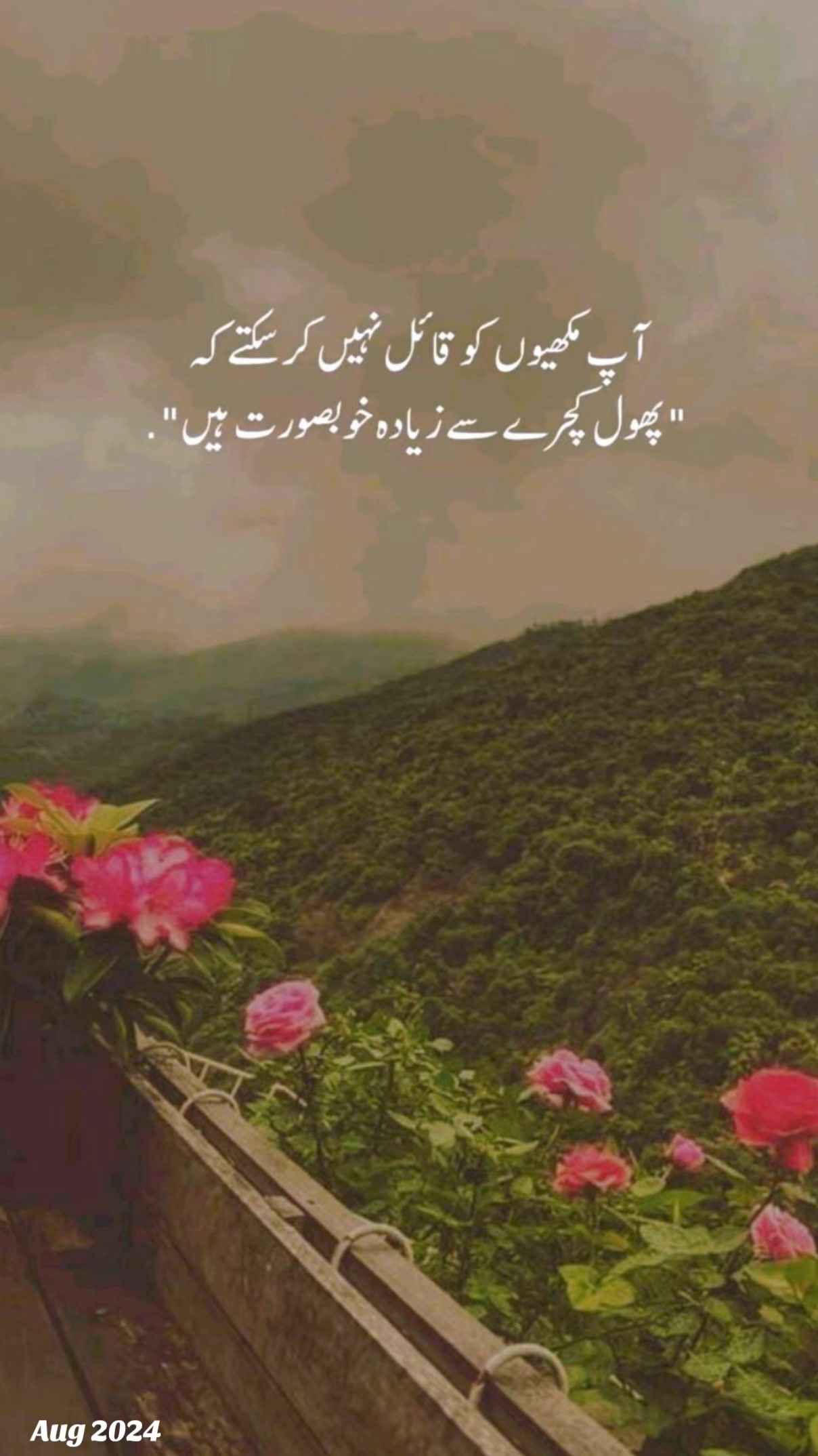 @چوہدری کوٹلے آلے🙃