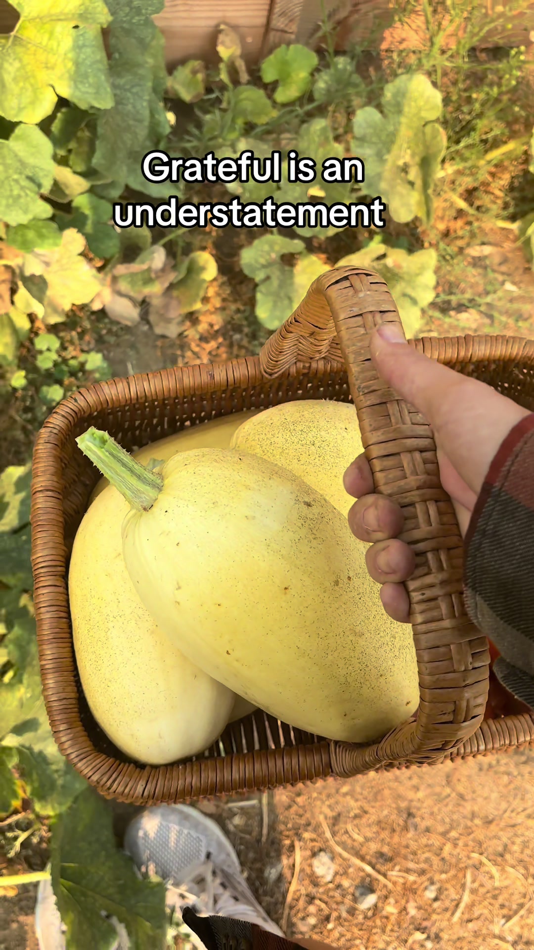 @seedstosprouts