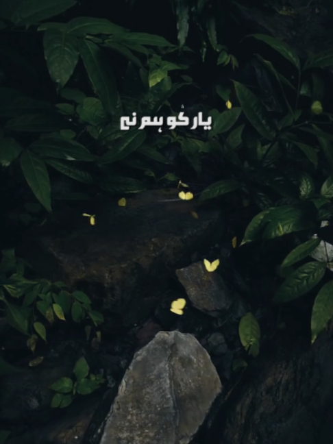 @𝗜𝗱𝗲𝗮𝗹 𝗔𝗱𝘀 𝟮.𝟬