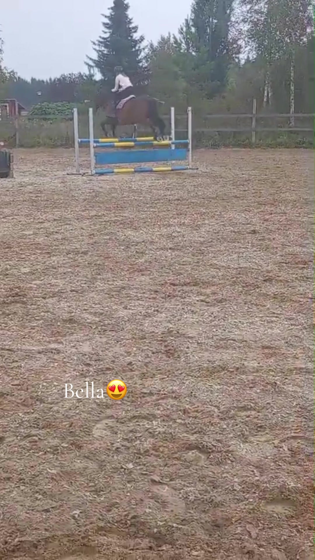 @Equestrian_tiiaa