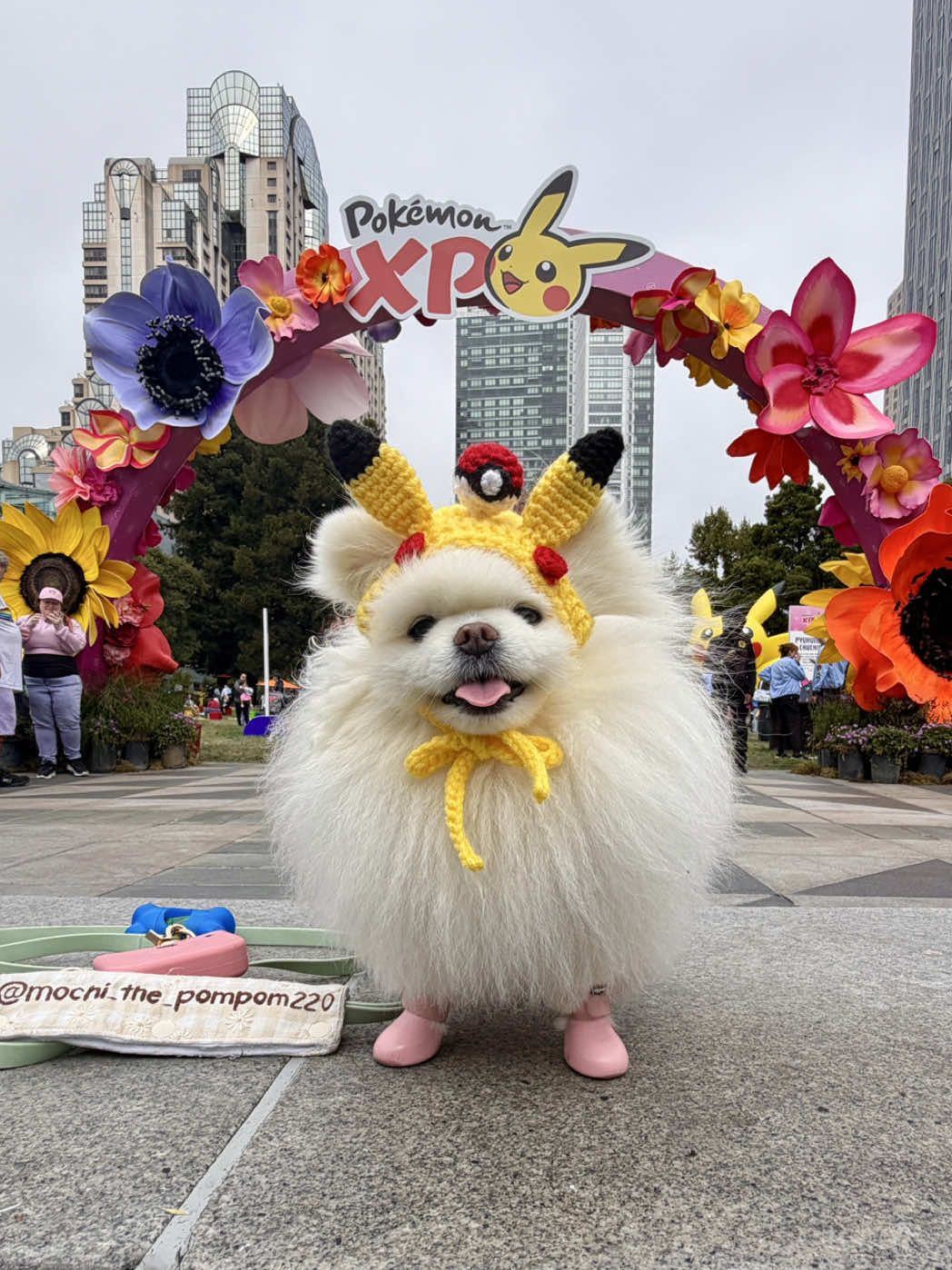 @lil.fluff.ball_mochi