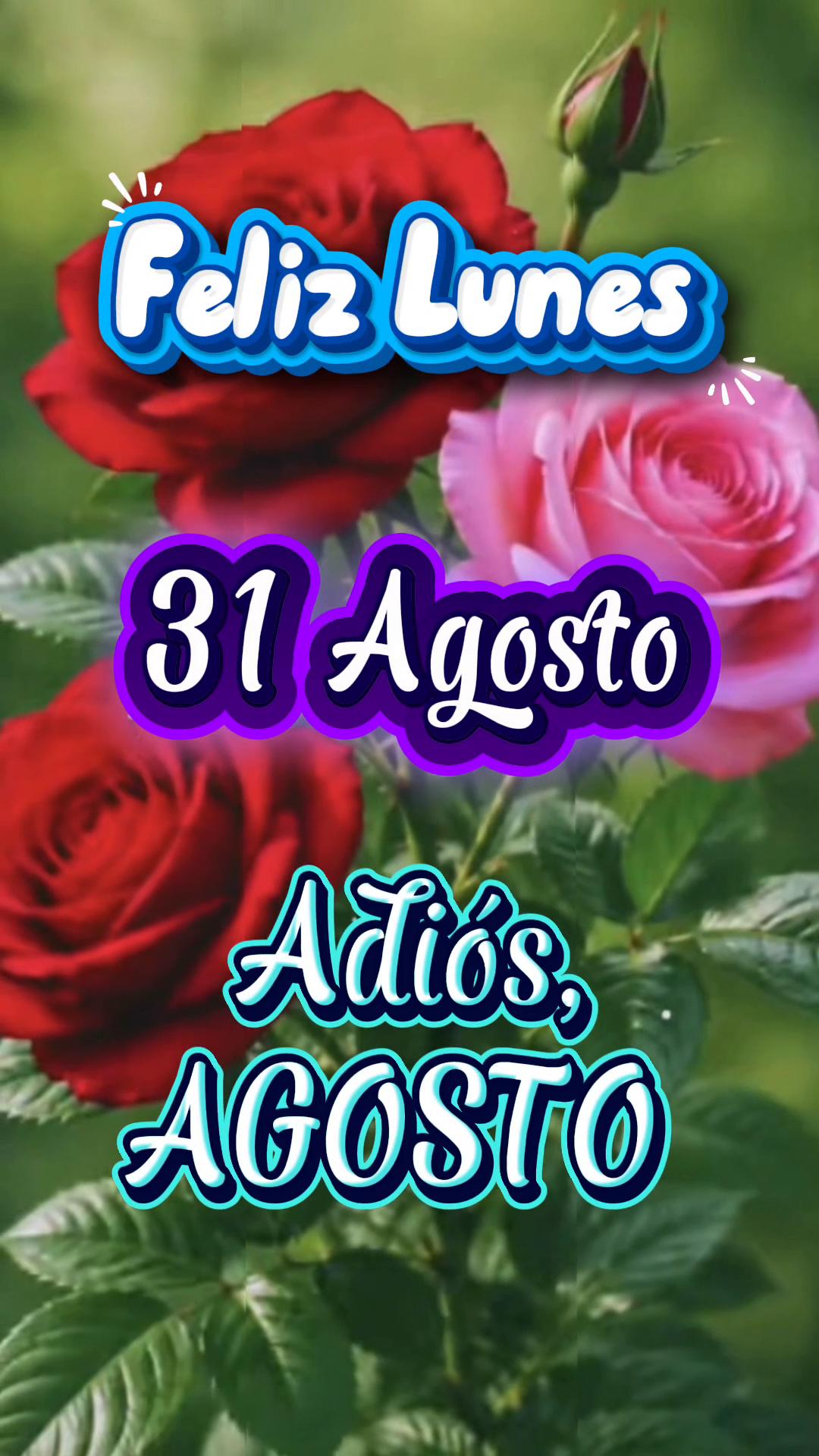 @@L&rdquo;G💕