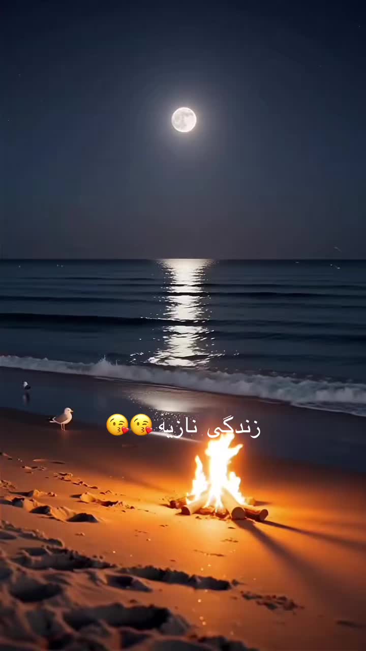@نازیه کابلی🇦🇫