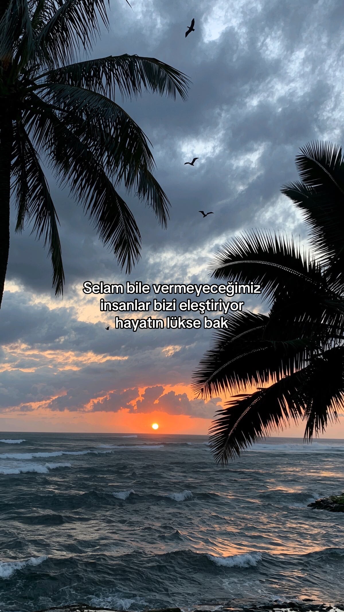 @𝐸𝓏𝑔𝒾