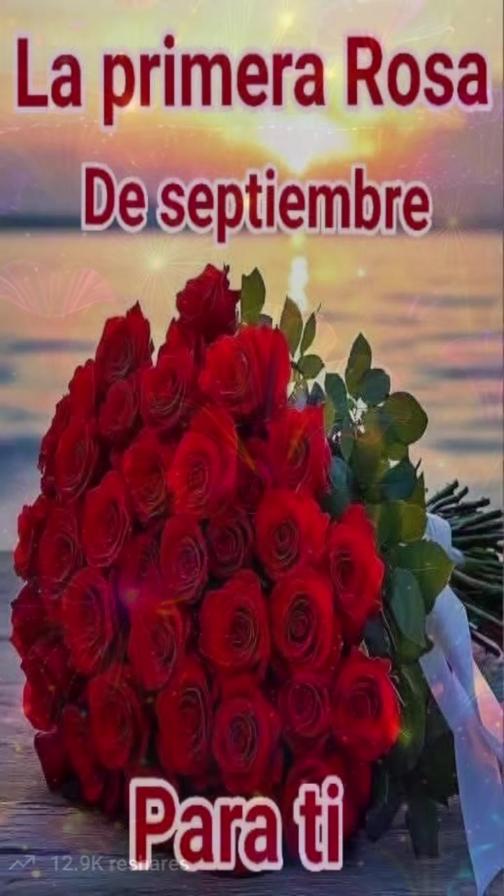 @@PaulinaD&iacute;az💎🇬🇹💎