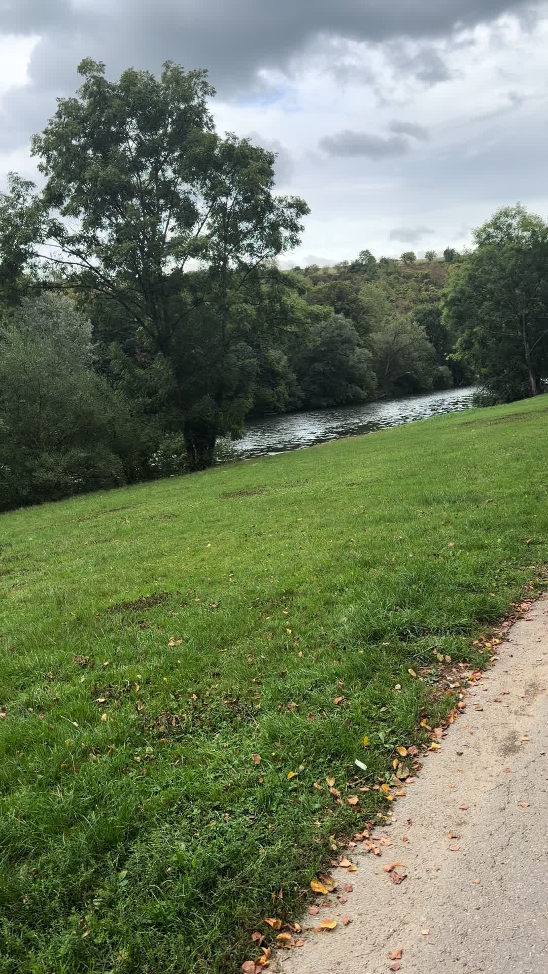 @Aeilin