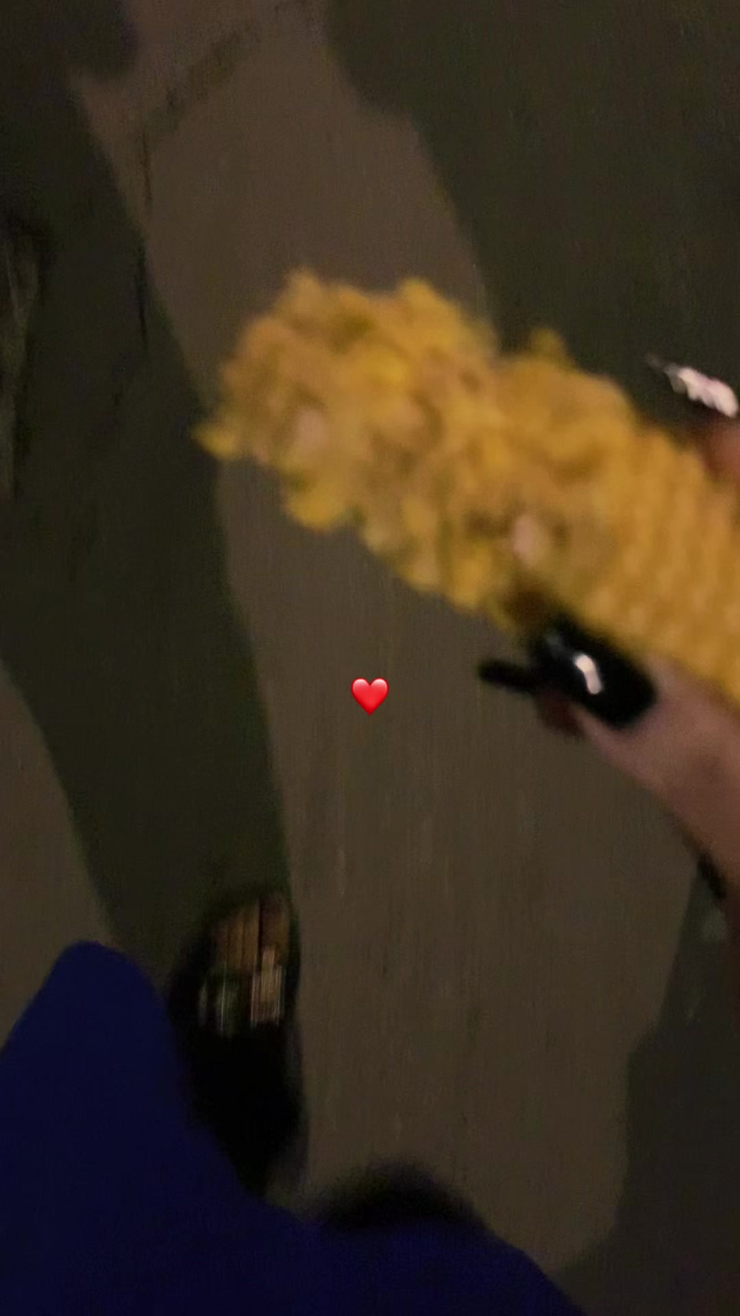 @𝙀𝙡𝙘𝙖𝙣💙𝙕𝙚𝙝𝙧𝙖