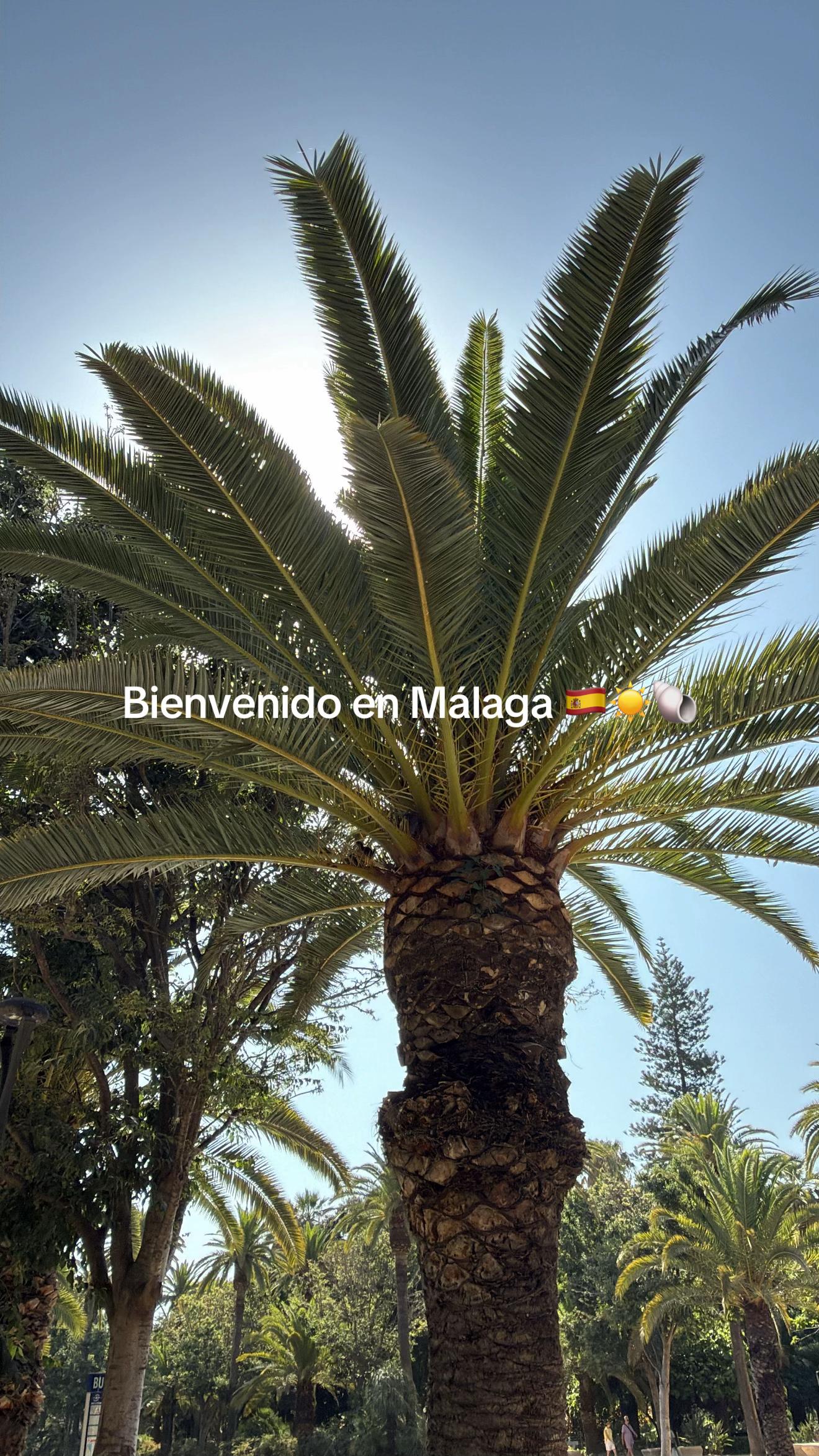 @Katia | Voyage - HYROX🥥🐚🌺