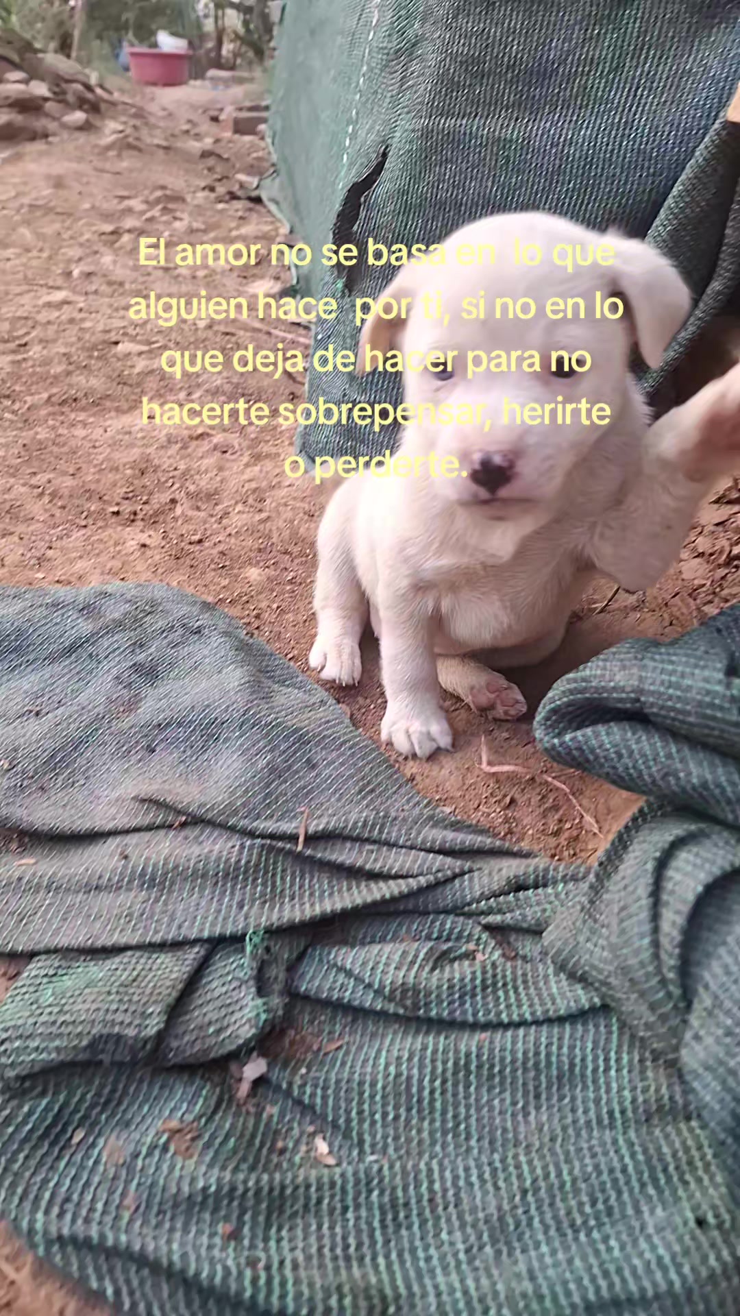 @&hearts;️𝓔𝓶𝓲𝓵𝔂🥹💗