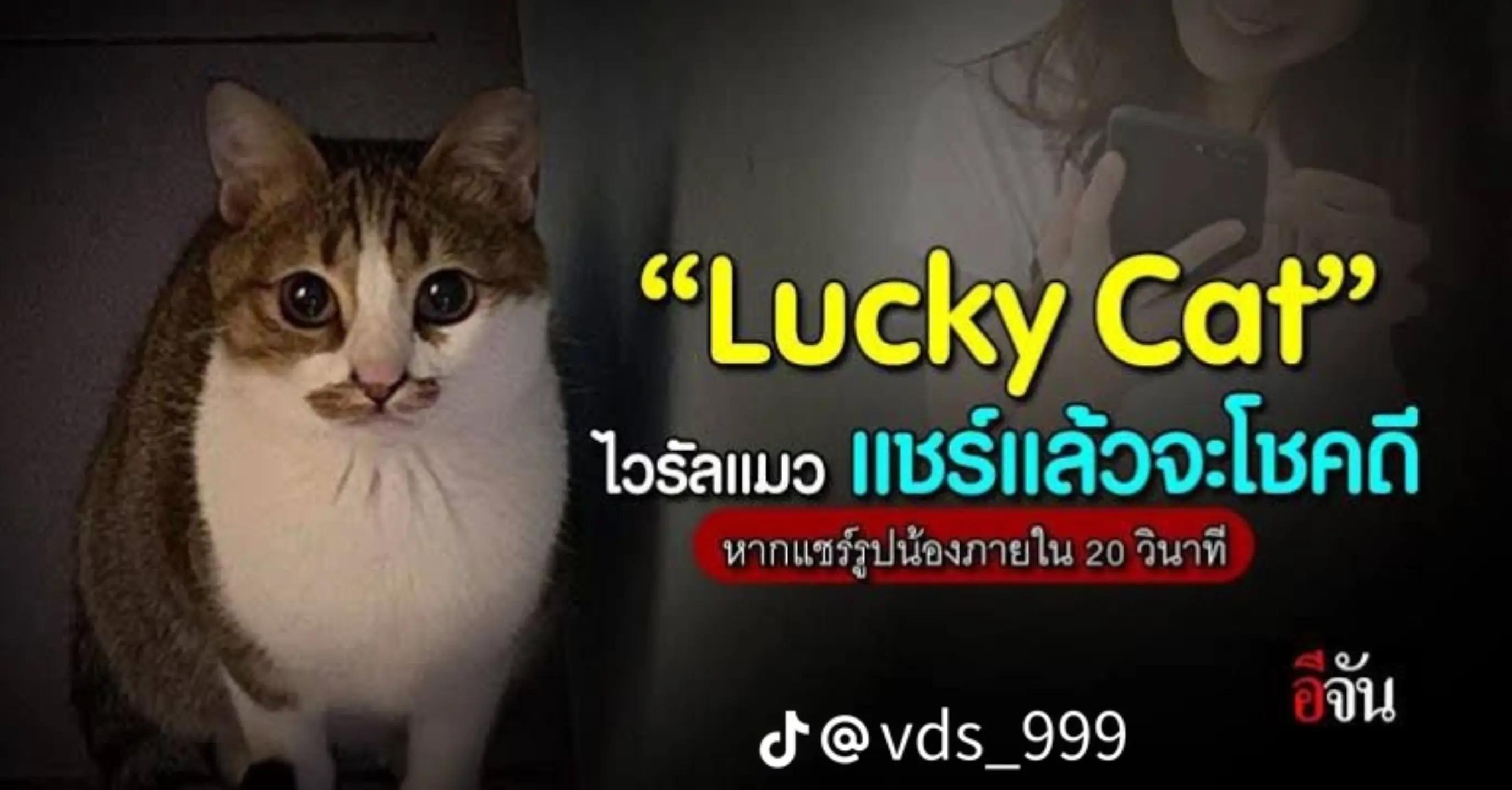 @แพทริคเอง555555