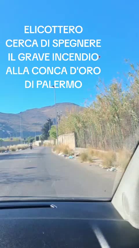 @Viviana
