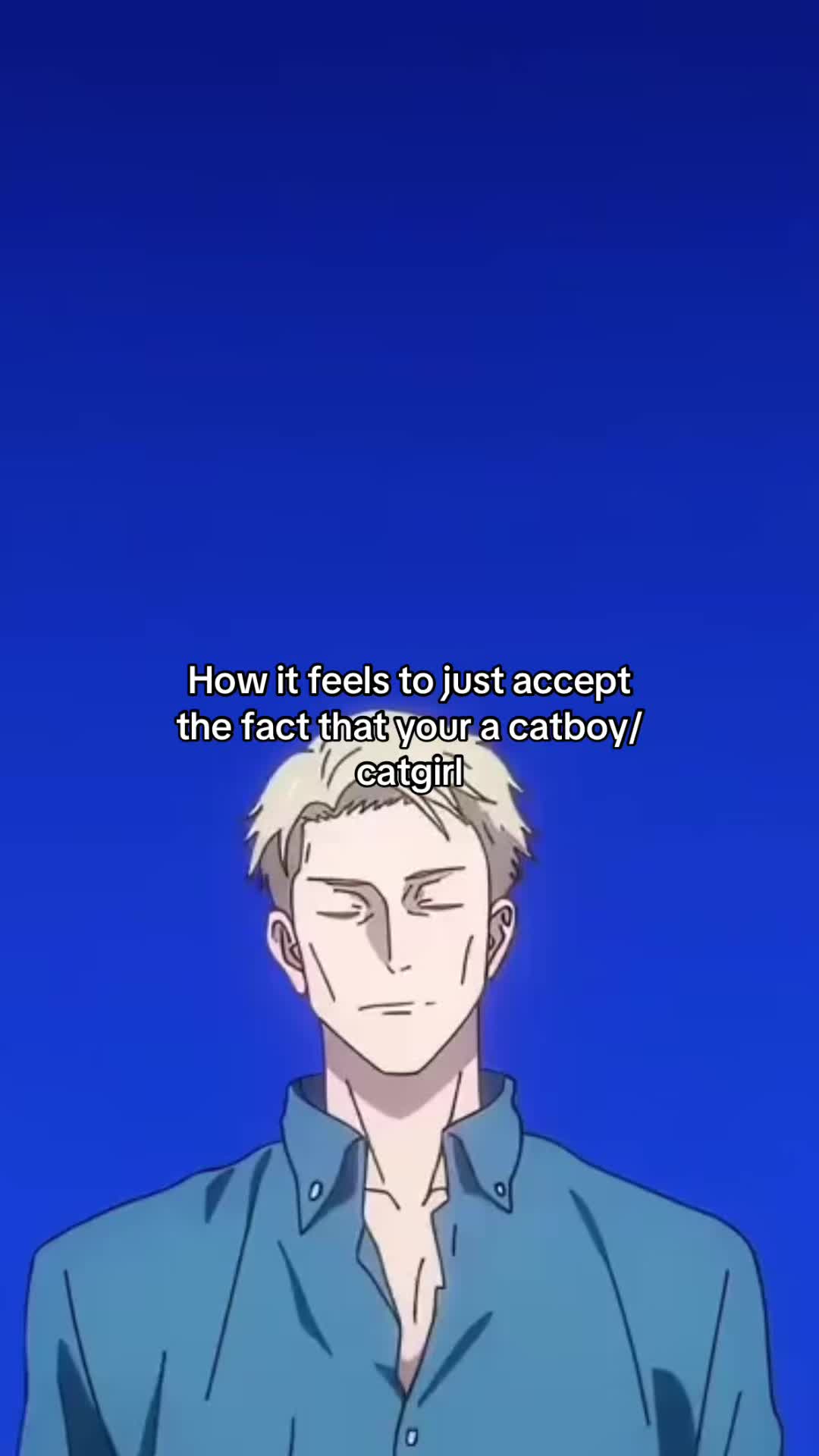 @MD/catboytonex