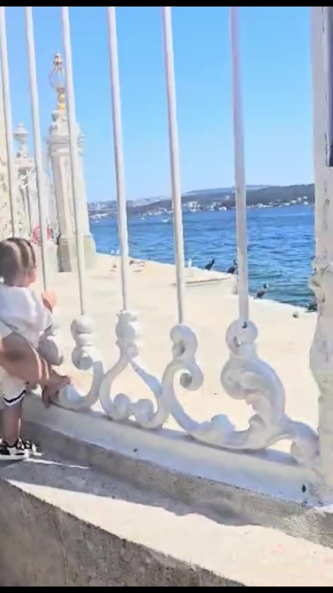 @Silvia Iuliana Berbec