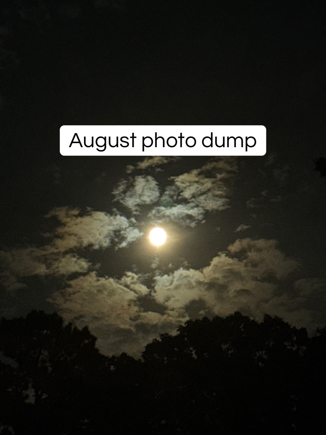 @𝐂𝐚𝐢𝐭𝐥𝐲𝐧 𝐌𝐚𝐫𝐥𝐞𝐫🤍