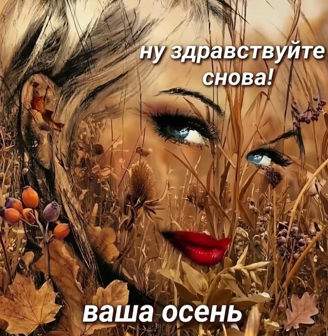 @🎰вуру🎰