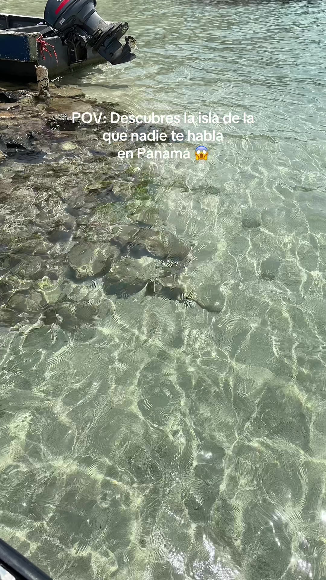 @Laliconsumelocal