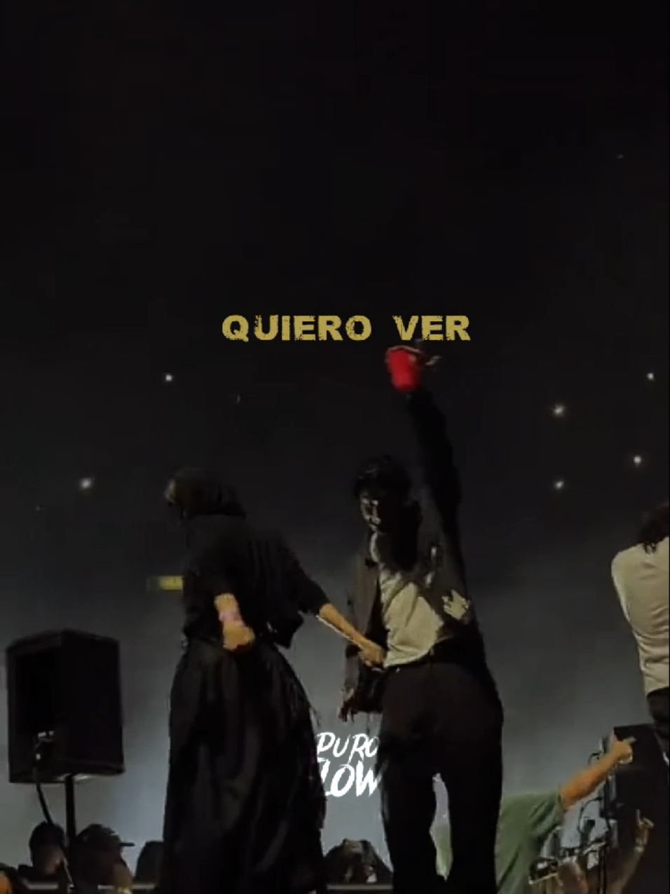 @puro0flow