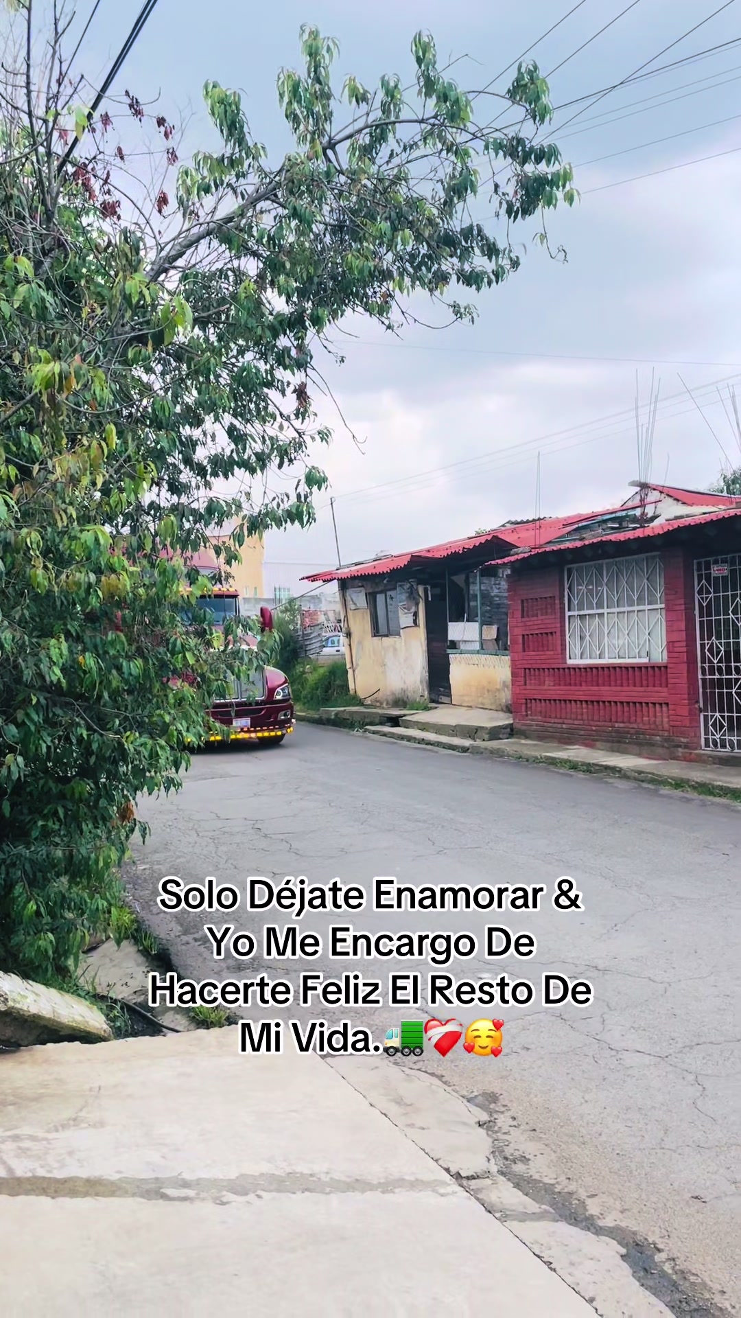 @Mire_Mendoza.🚛🐷🍓
