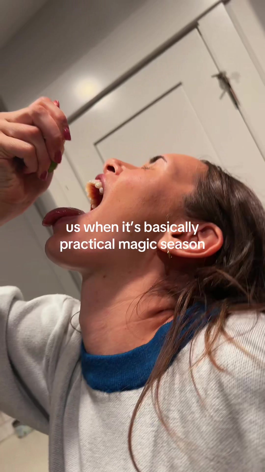 @shevs