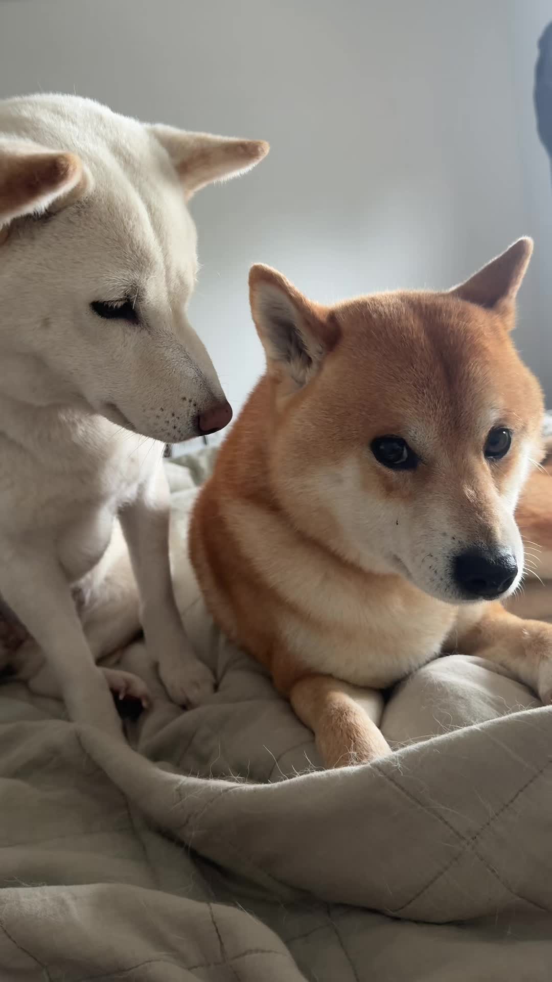@Akihiro & Yuki