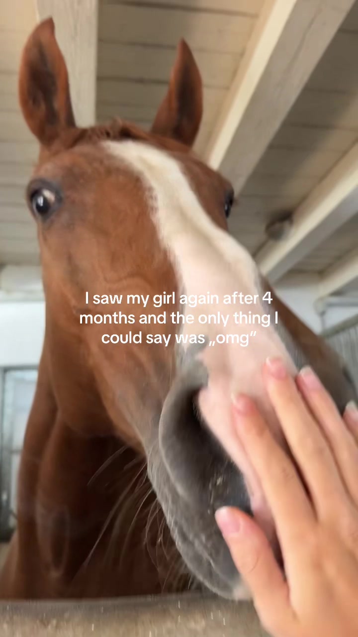 @𝐲𝐨𝐮𝐫 𝐩𝐥𝐚𝐜𝐞 :)
