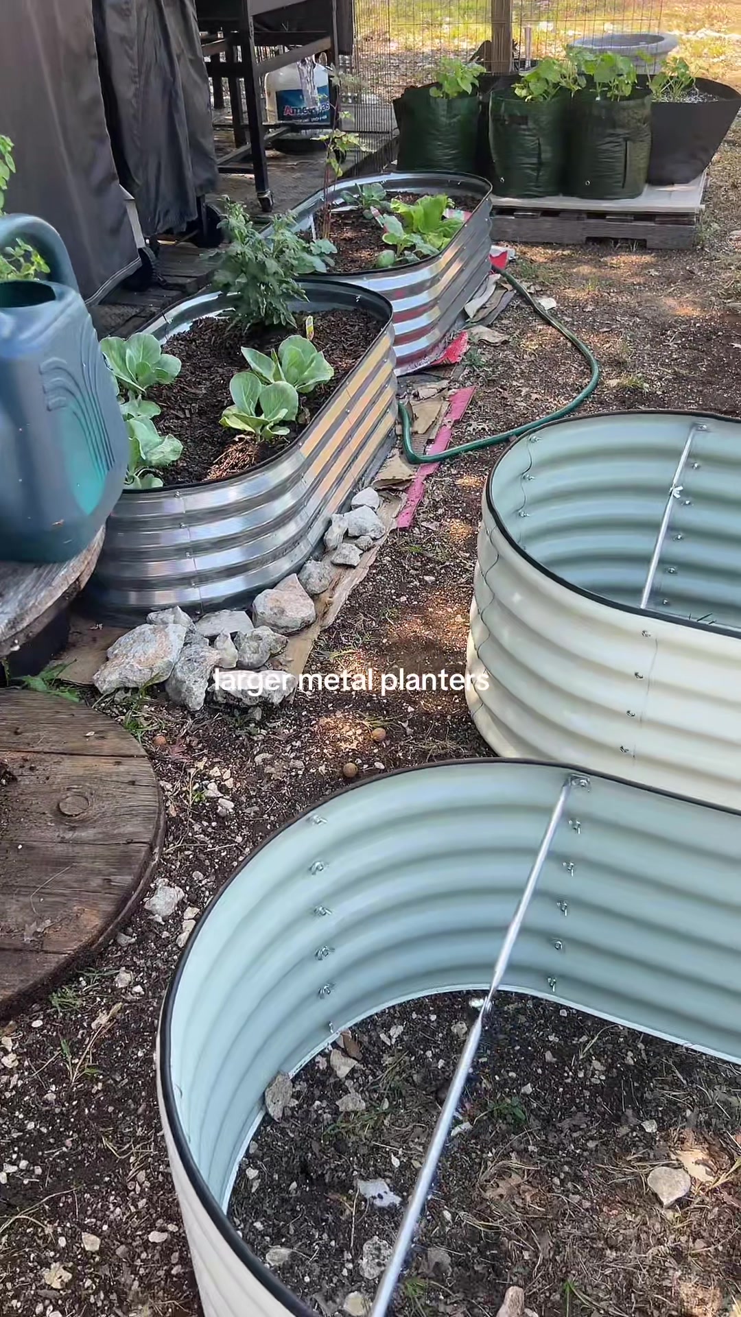 @Chantel | Curvy Fashion