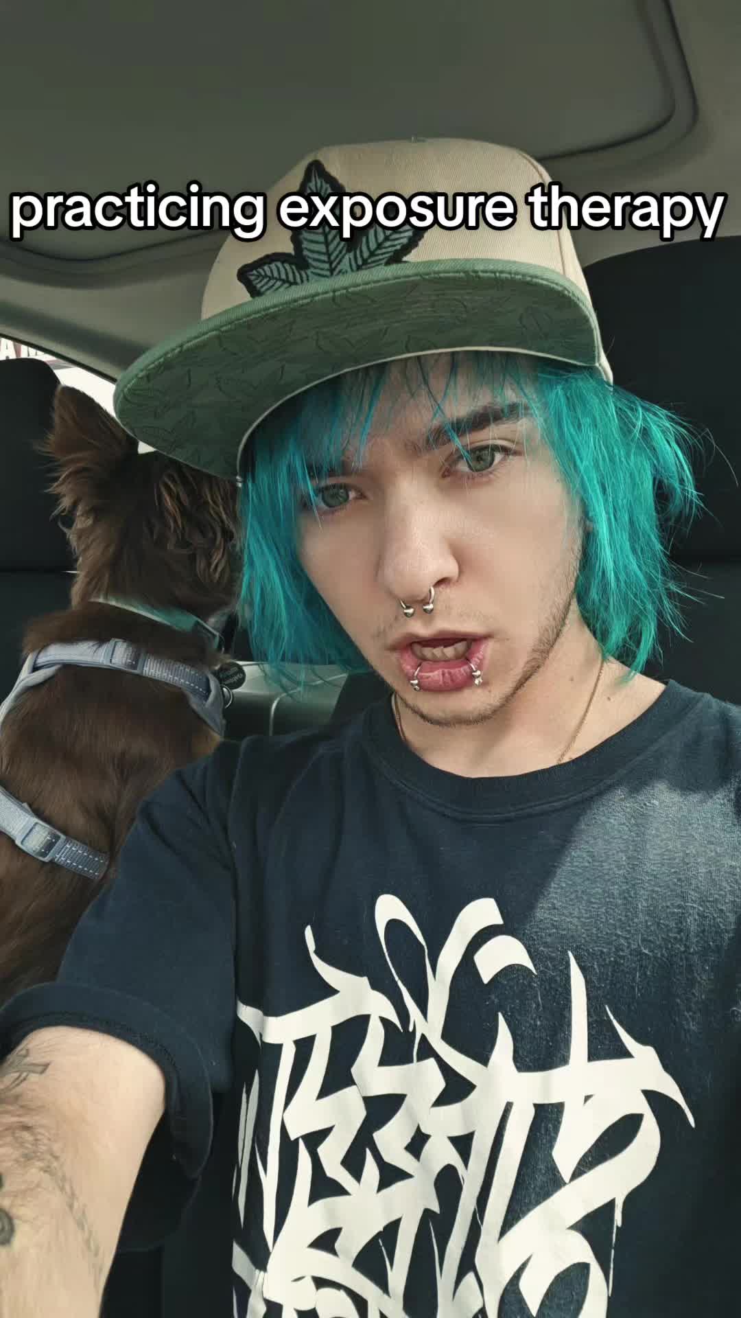 @van