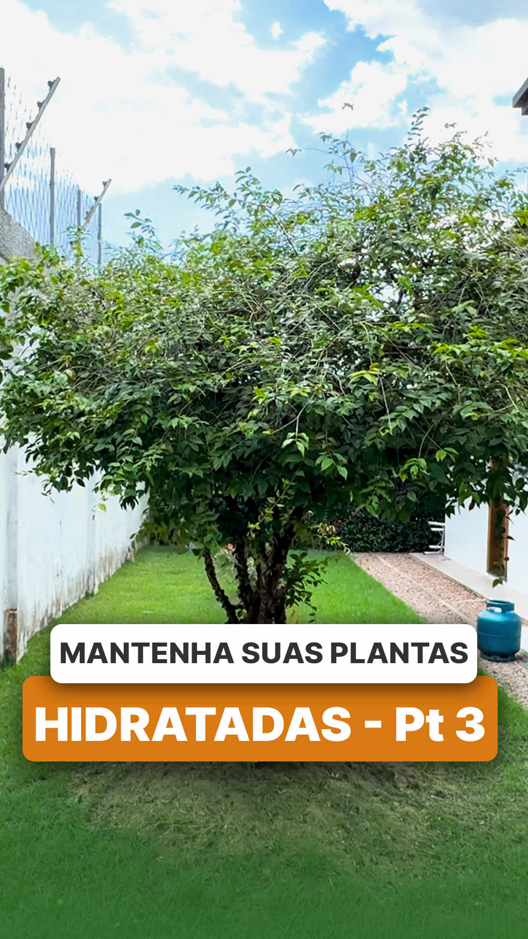 @ViveiroProMudas