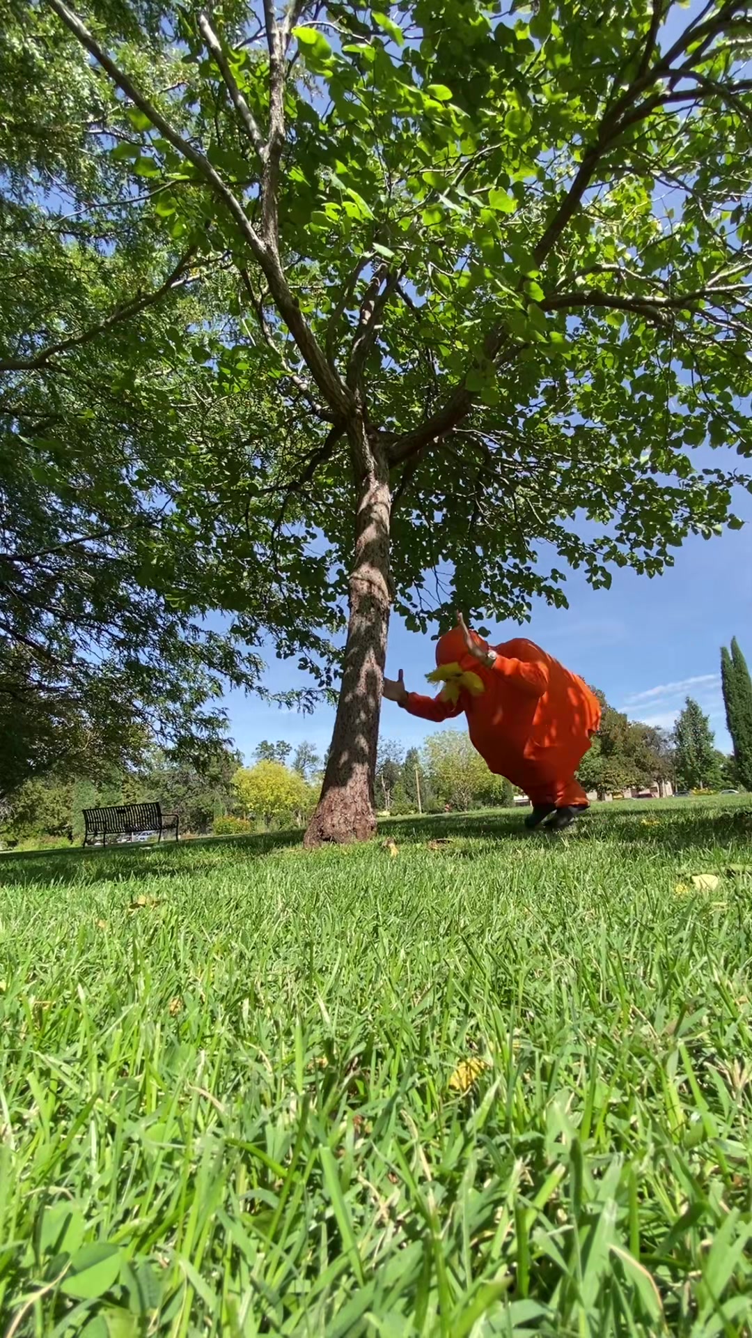 @LoRaX