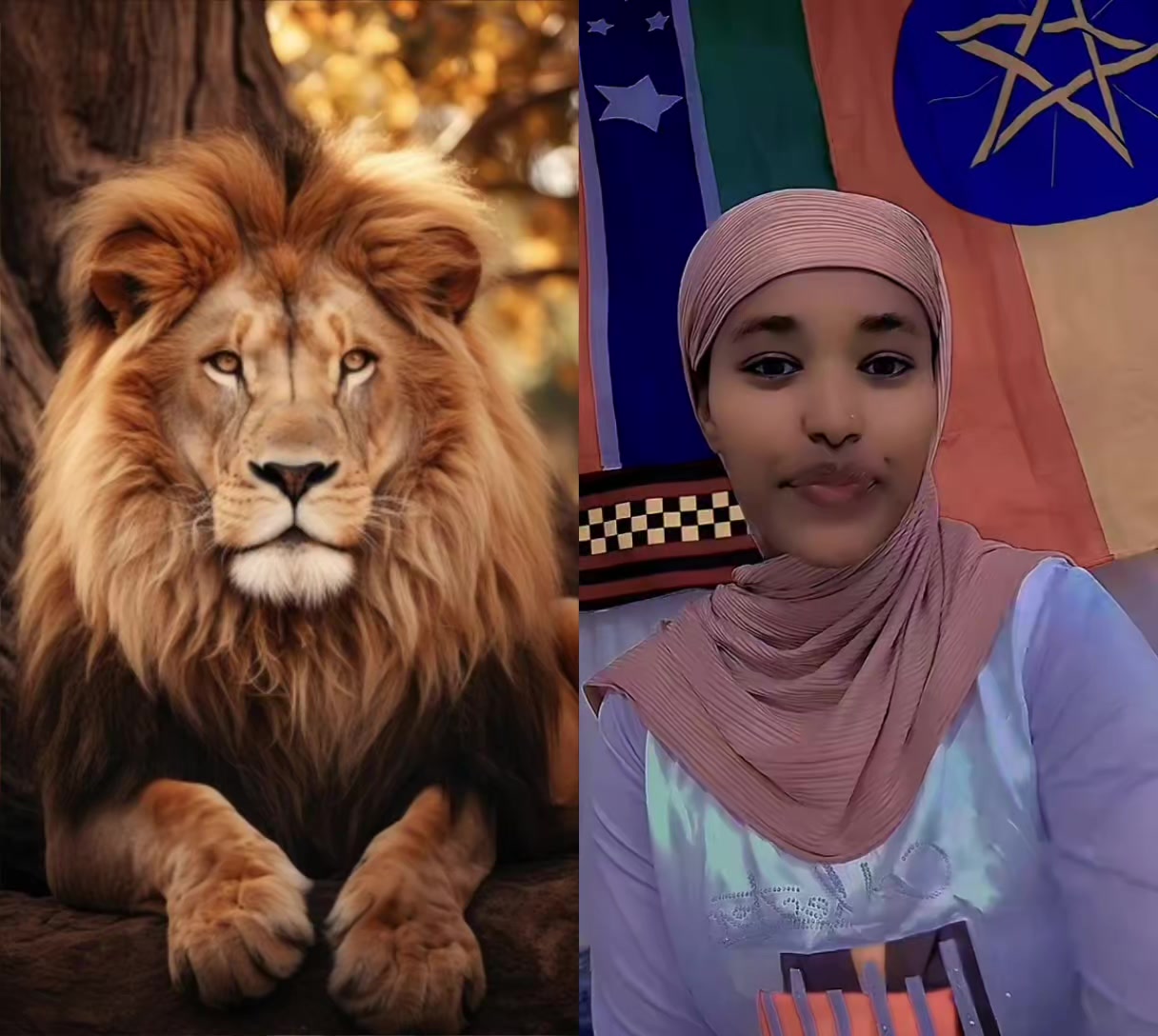 @Ⓗawassa tube ሀዋሳ