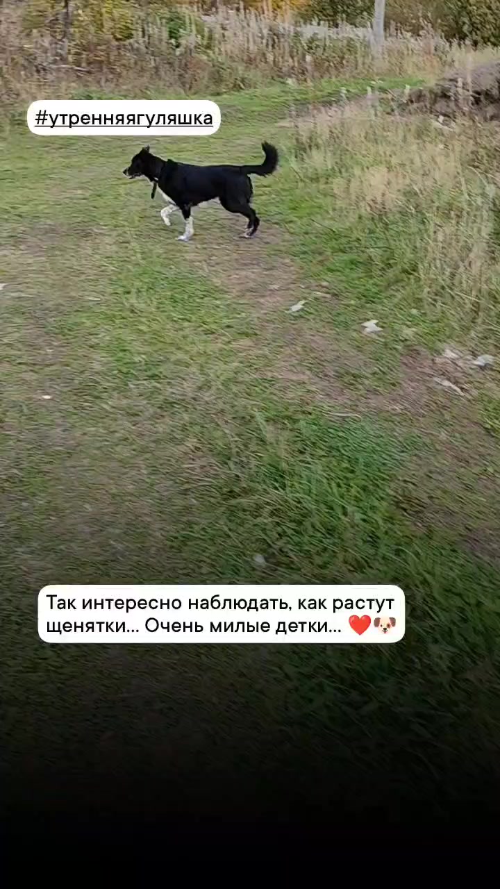 @Lenochka