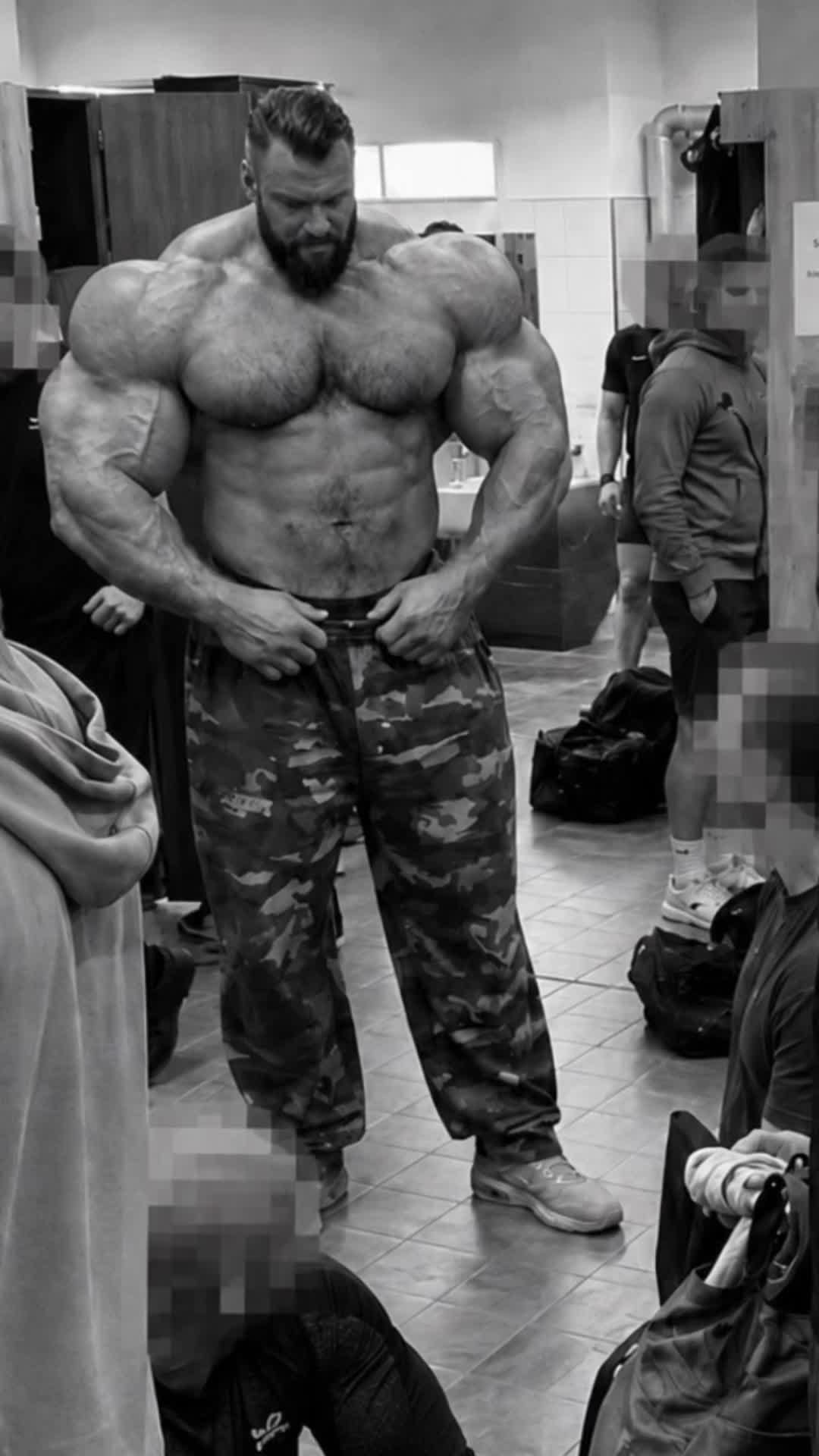 @ARNO | Alpha Beast