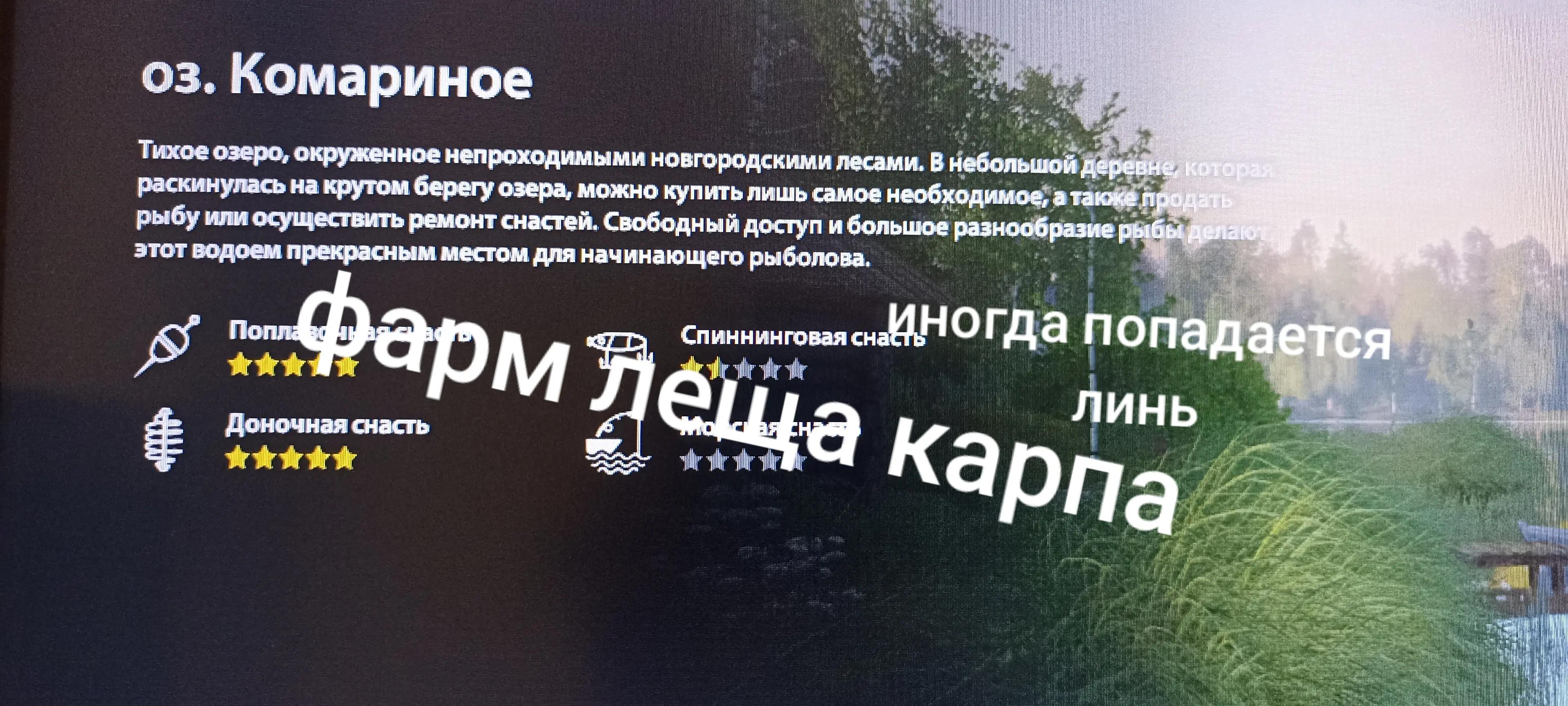 @кот на поплавок