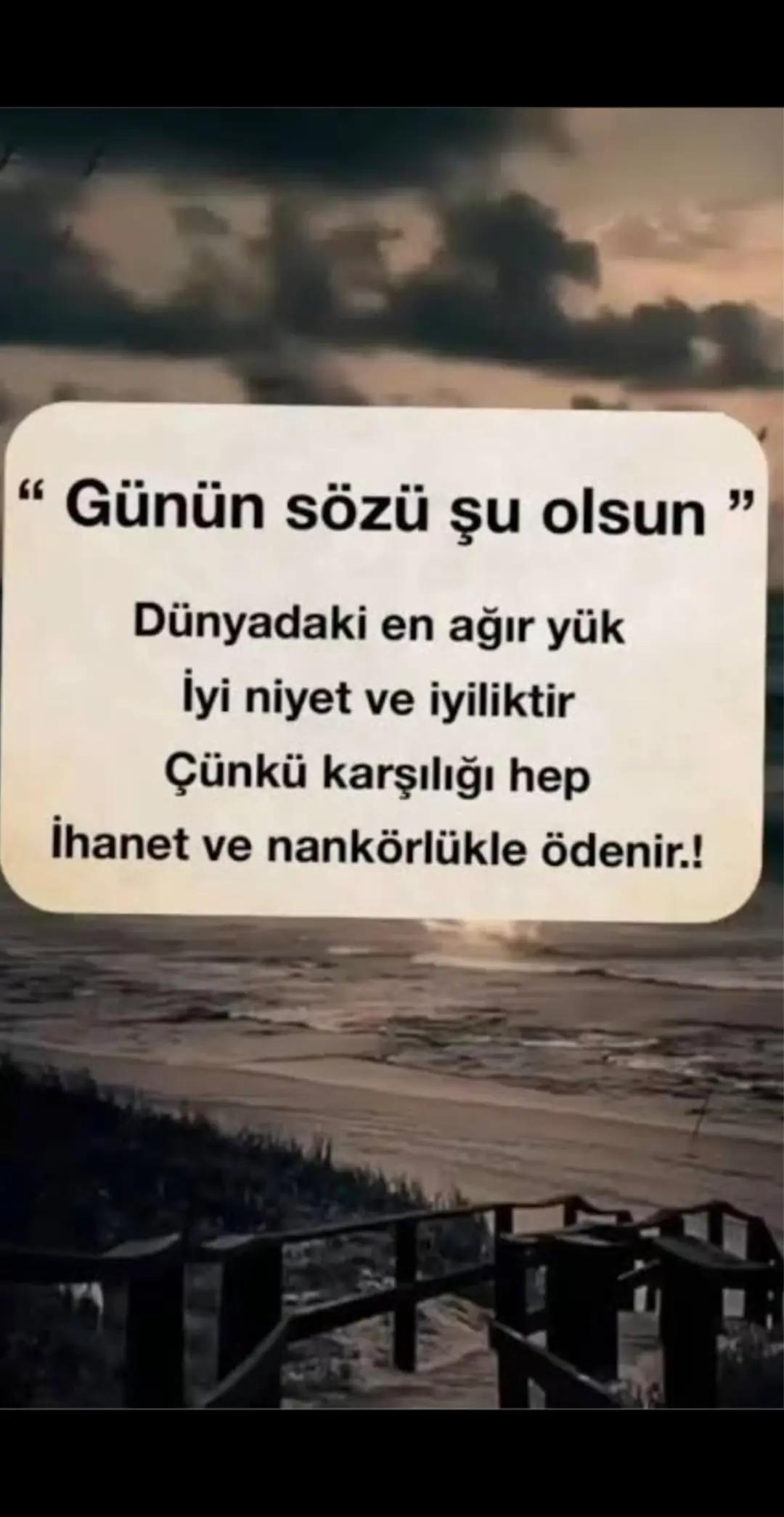 @boz.kurt