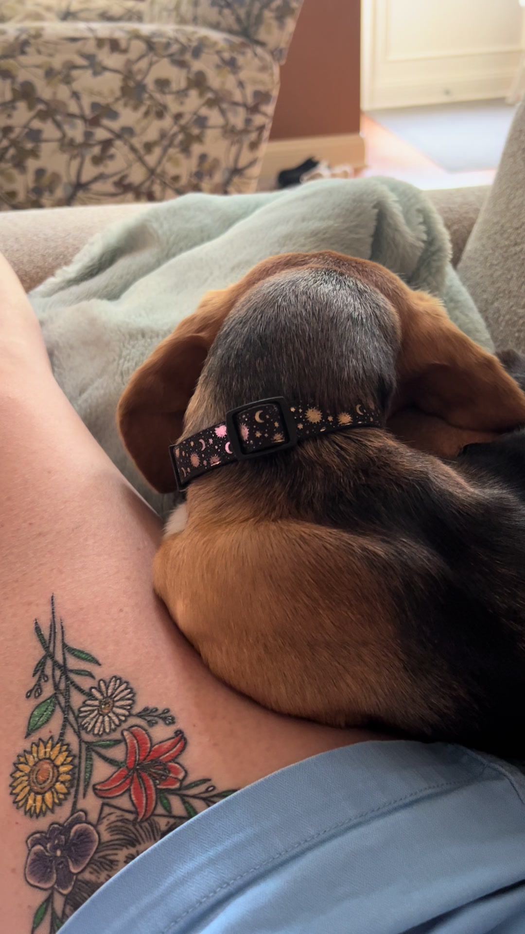 @Rosie the Beagle 🇺🇸🥰 🌞