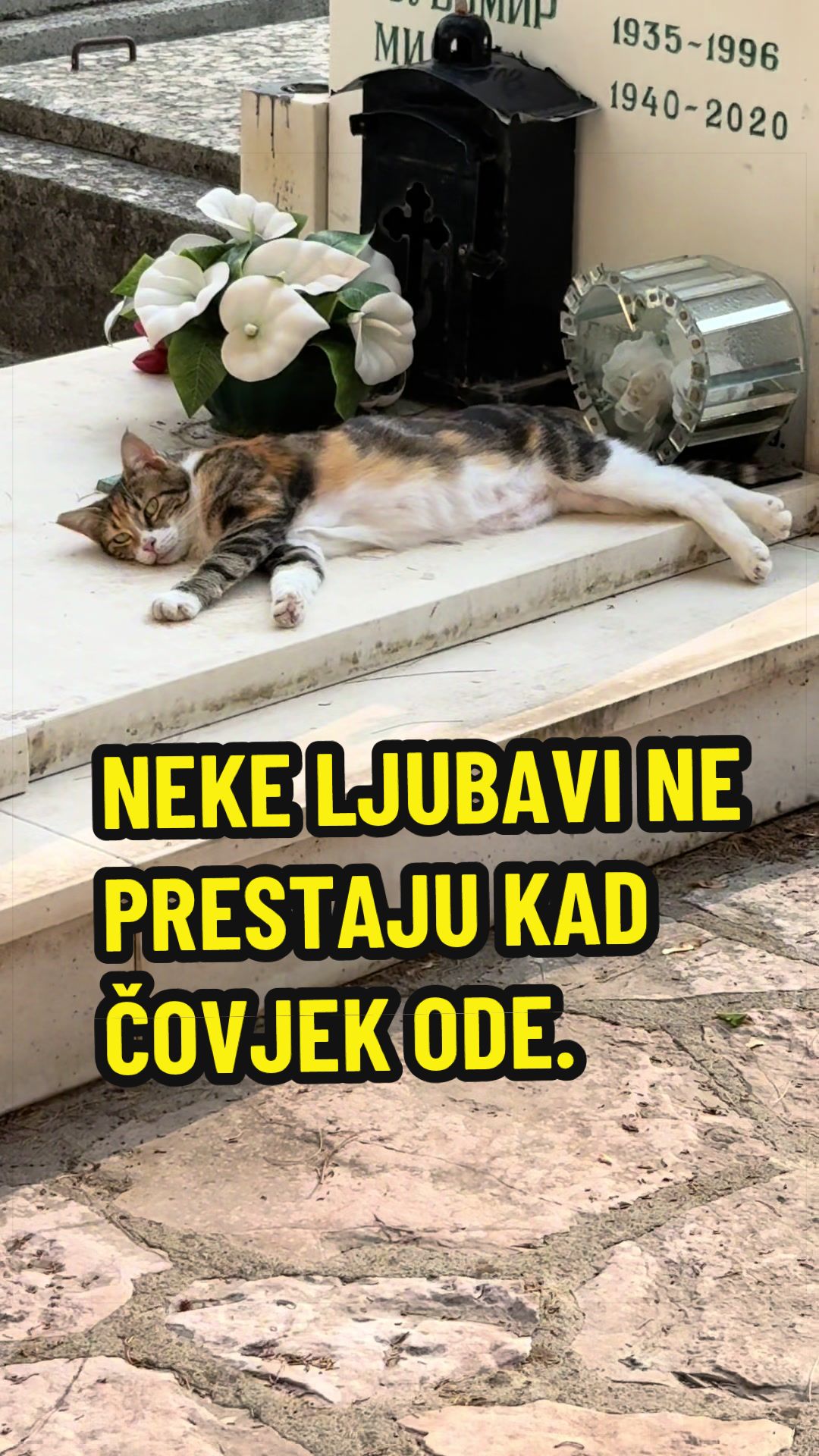 @Maja Kovijanic