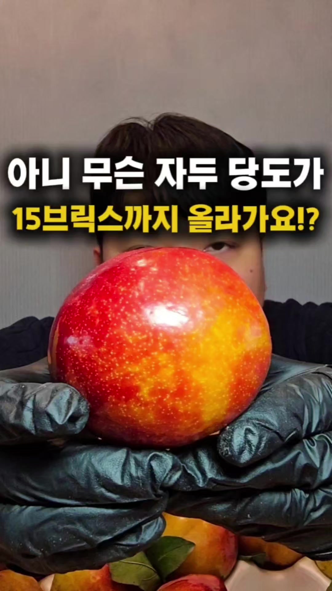 @농부대첩