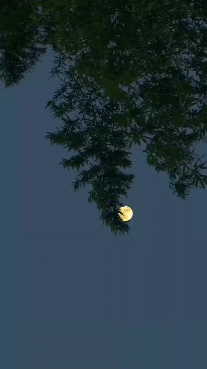 @ش✨