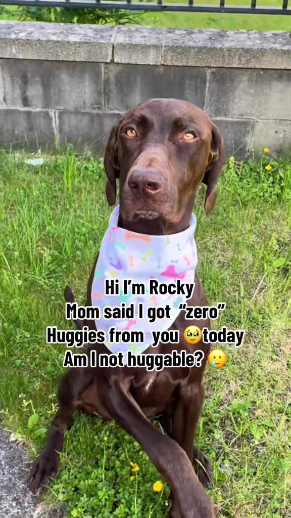 @Rocky_and_mom 🐾❤️🐶