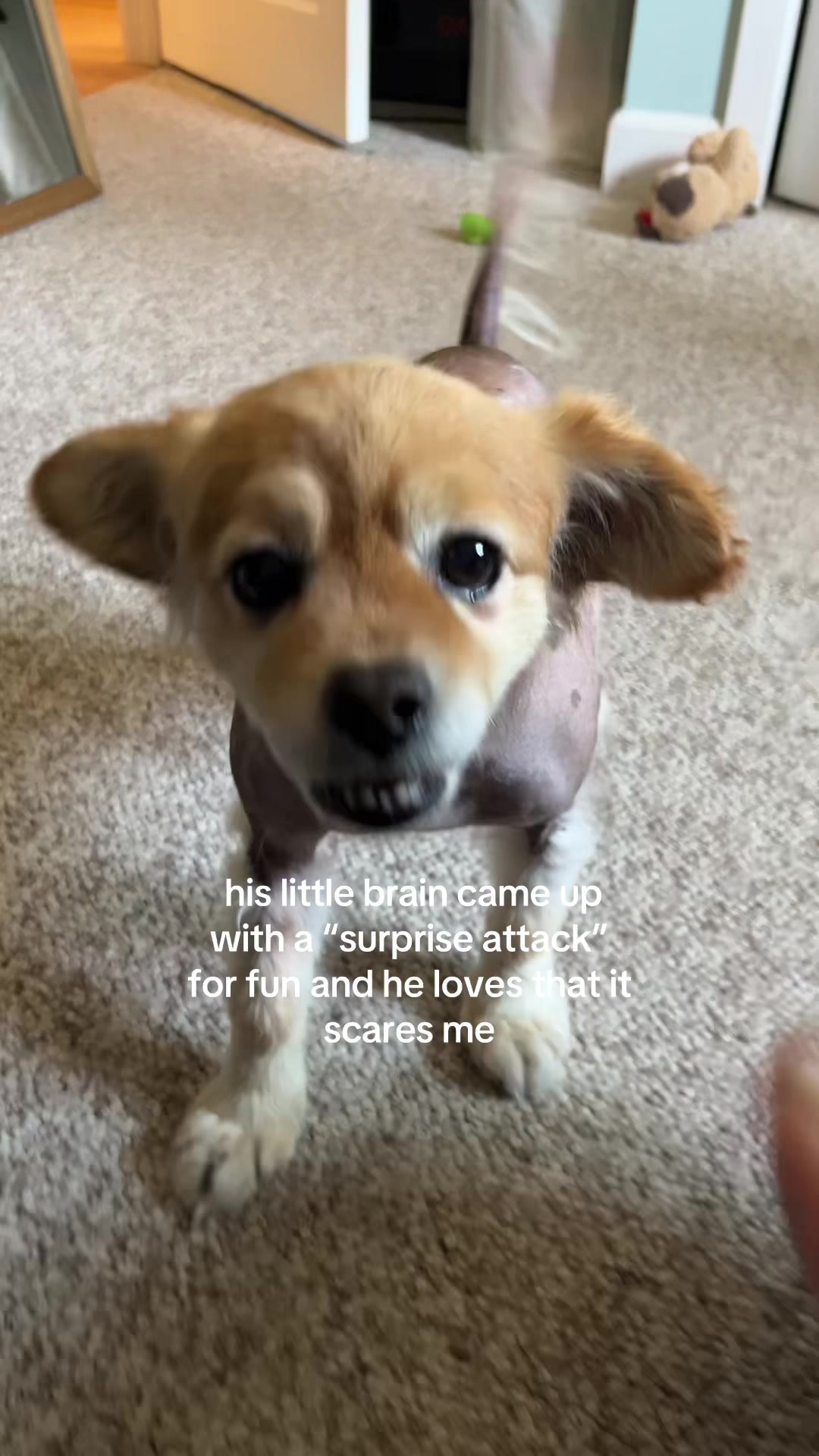 @kingpep