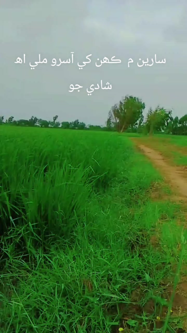 @Akram Ali