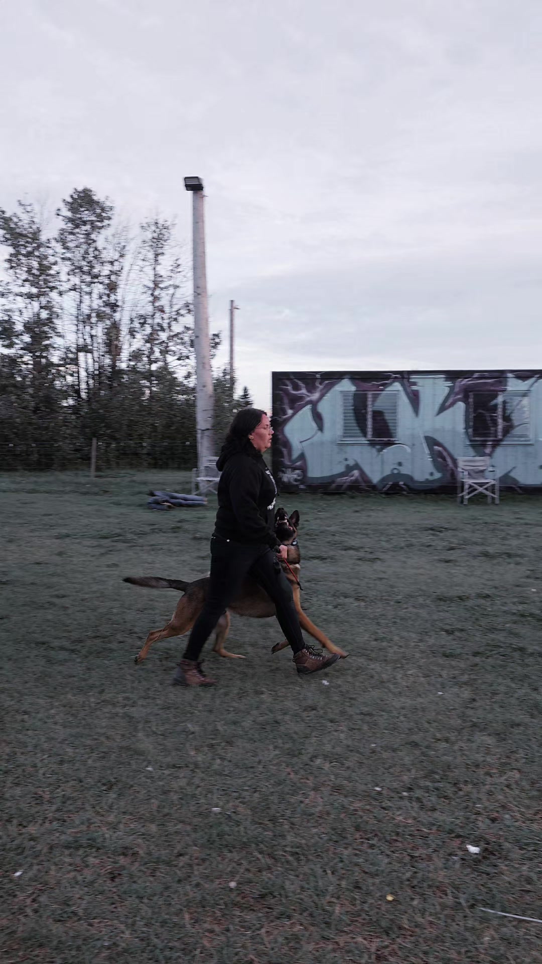 @RaisingHell.Hounds🇨🇦