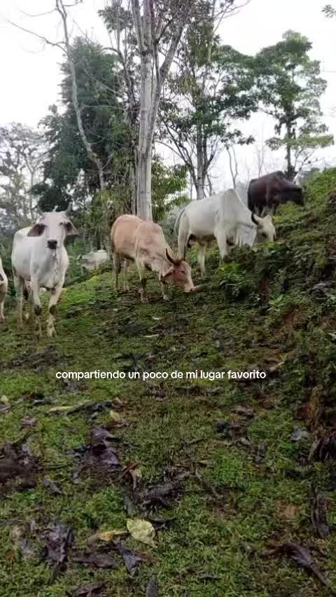 @flaca🩷🩷🩷