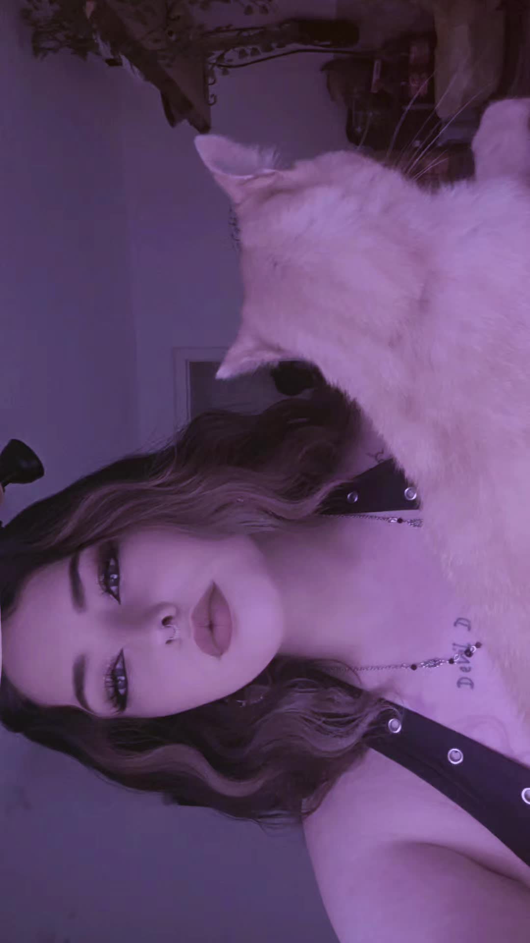 @Kassy