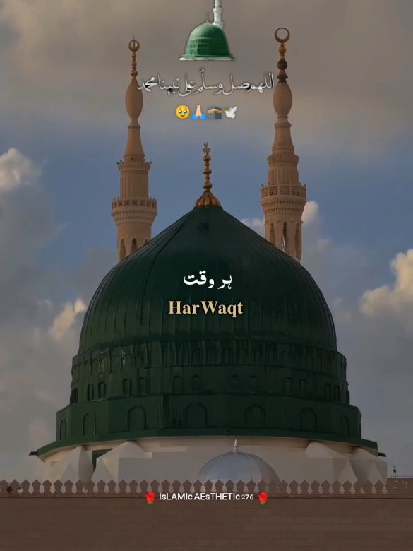 @راجه لقمان 🦅