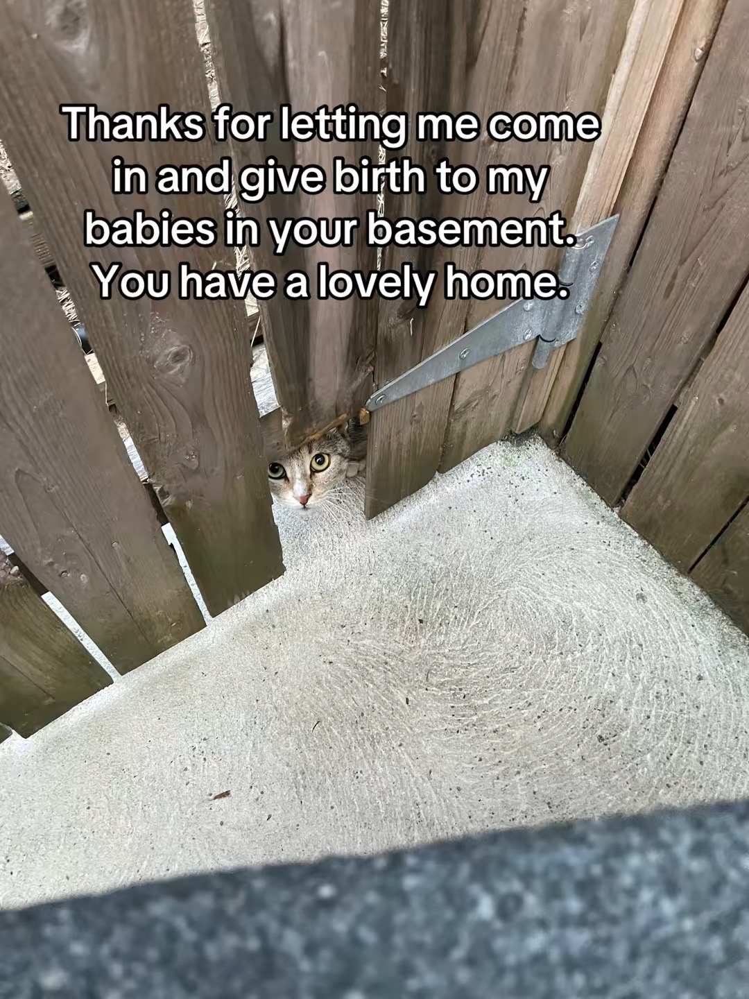 @Frances and Family
