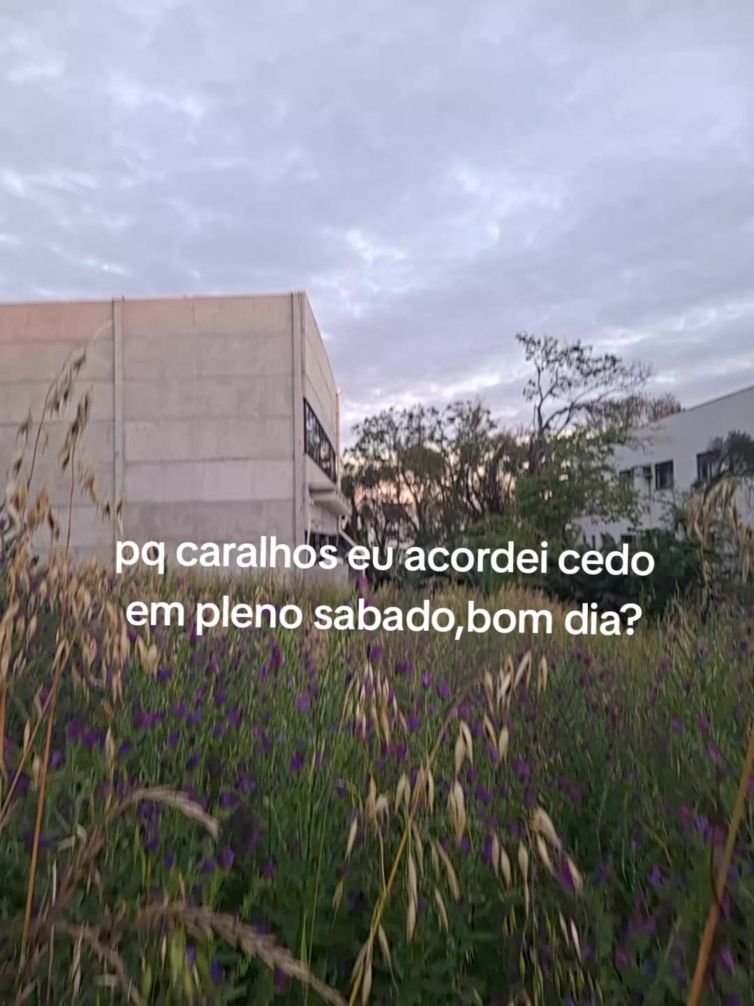 @☀️amanda🌸